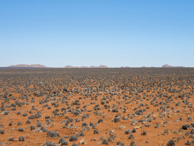 Africa, Namibia, desierto de Namib, paisaje desértico - foto de stock