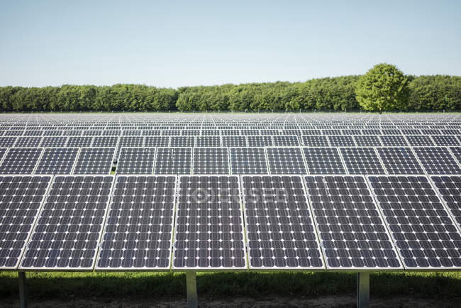 Germany, Kevelaer, solar plant at daytime — Stock Photo