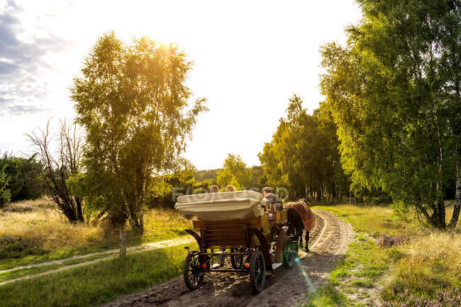 Germania, Bassa Sassonia, Lueneburg Heath, carrozza trainata da cavalli — Foto stock