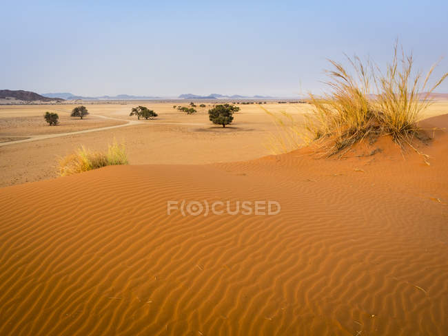 Africa, Namibia, el desierto de Namib, el Parque Nacional Naukluft, Sossusvlei, Elim dune - foto de stock