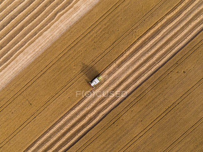 Serbia, Vojvodina. Combina mietitrice su un campo di grano, vista aerea — Foto stock