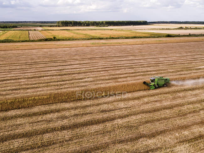 Сербія, Воєводина, Зернозбиральний комбайн на пшеницю, вид з повітря — стокове фото