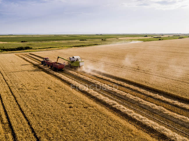Сербия, Воеводина. Комбайн на поле из пшеницы, вид с воздуха — стоковое фото