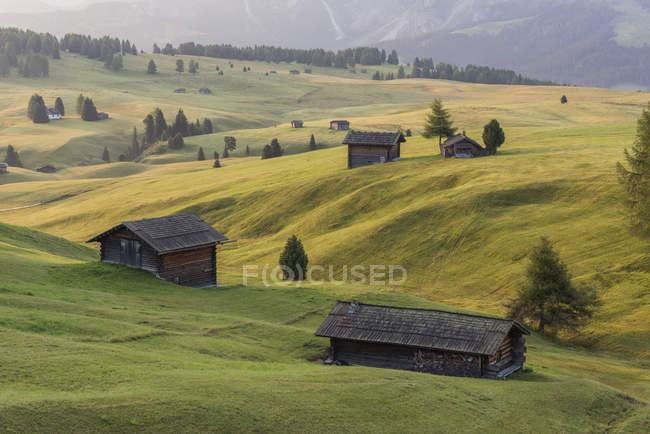 Italia, Tirol del Sur, Seiser Alm, graneros en la mañana - foto de stock