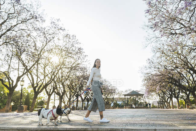 España, Andalucía, Jerez de la Frontera, Mujer paseando con dos perros en plaza - foto de stock