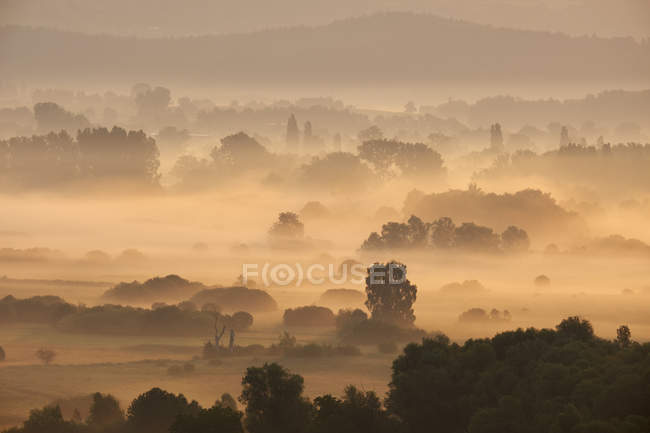 Germany, Baden-Wuerttemberg, Constance district, view to Radolfzeller Aach in the morning with fog — Stock Photo