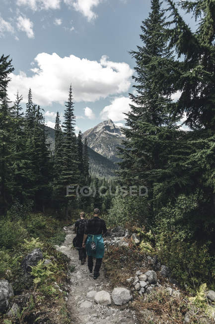 Canadá, Columbia Británica, Parque Nacional Glaciar, excursionistas en Sir Donald Trail - foto de stock