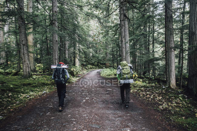 Канада, Британська Колумбія, Маунт Робсон Провінційний парк, туристи на стежці Berg Lake — Stock Photo