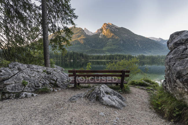 Alemania, Baviera, Berchtesgaden Alpes, Lago Hintersee, banco por la mañana - foto de stock