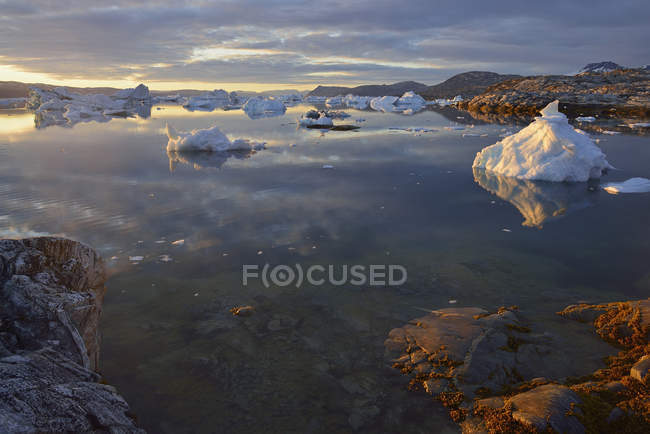 Greenland, East Greenland, view from Sarpaq over the icebergs of Sermilik fjord in the evening — Stock Photo