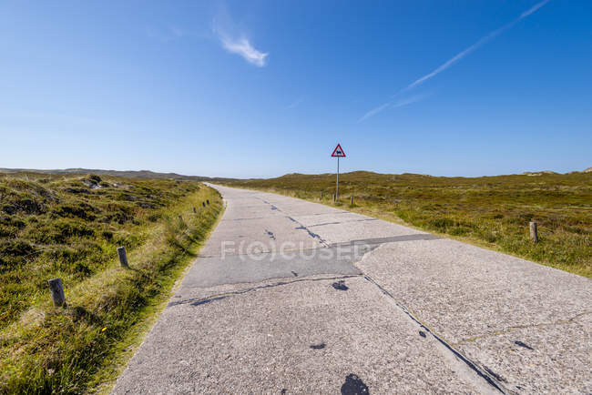 Germania, Schleswig-Holstein, Sylt, strada sterrata, cartello stradale, incrocio bestiame — Foto stock