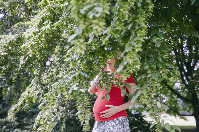 Smiling pregnant woman standing behind branches of a tree — Stock Photo