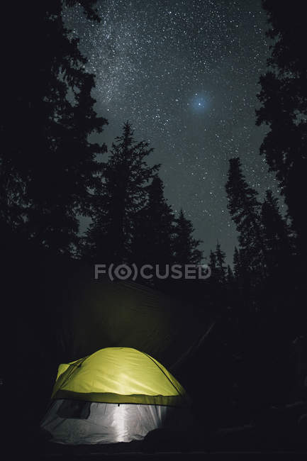 Canada, British Columbia, Fraser-Fort George H, Mount Robson Provincial Park, tent in the forest — Stock Photo