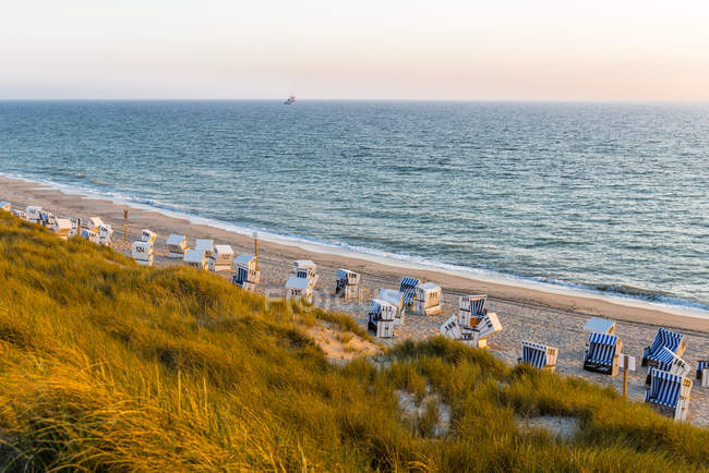 Alemanha, Schleswig-Holstein, Sylt, praia e cadeiras de praia com capuz vazias ao pôr do sol — Fotografia de Stock