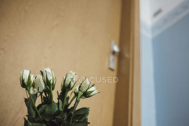 Flores blancas de despedida en la puerta del apartamento del vecino  fallecido — Cultura tradicional, cultura - Stock Photo | #265354282