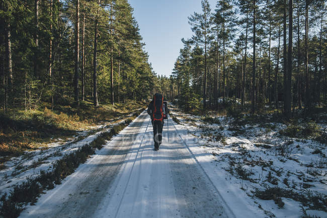 Suecia, Sodermanland, mochilero senderismo en el camino en el bosque remoto en invierno - foto de stock