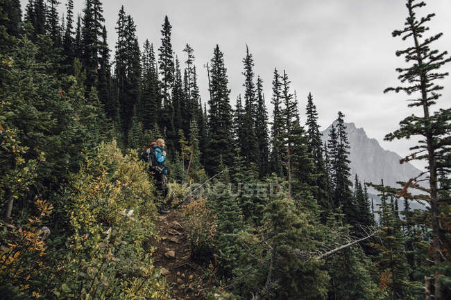 Canadá, Columbia Británica, Parque Nacional Yoho, senderistas en el Monte Burgess - foto de stock