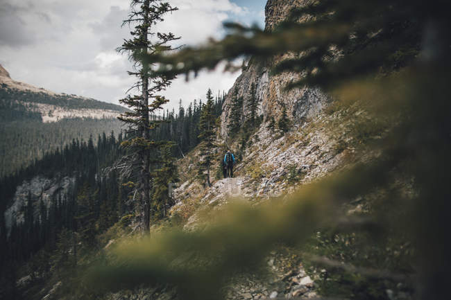 Canadá, Columbia Británica, Parque Nacional Yoho, dos hombres de excursión en el Monte Burgess - foto de stock