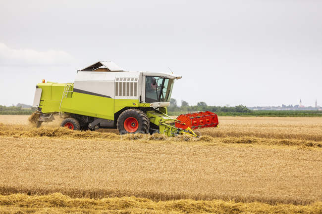 Serbie, Voïvodine, Combiner la récolte des champs de blé — Photo de stock