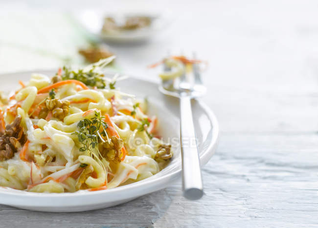 Noodle salad with carrot, walnuts and cress on plate — Stock Photo