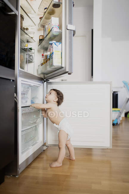 Дитячий хлопчик в пелюшці досліджує холодильник на кухні — стокове фото