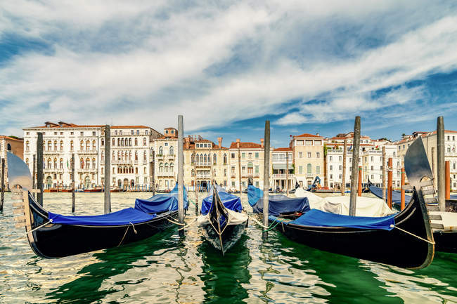 Italia, Venecia, góndolas en Canale Grande - foto de stock