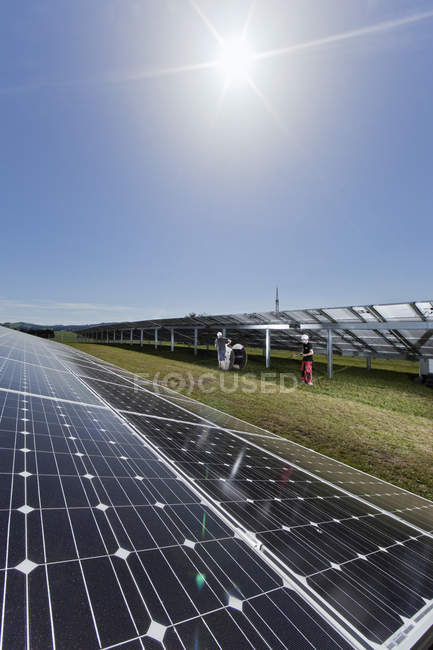 Два робітники закладають кабель високої напруги на сонячній електростанції — стокове фото