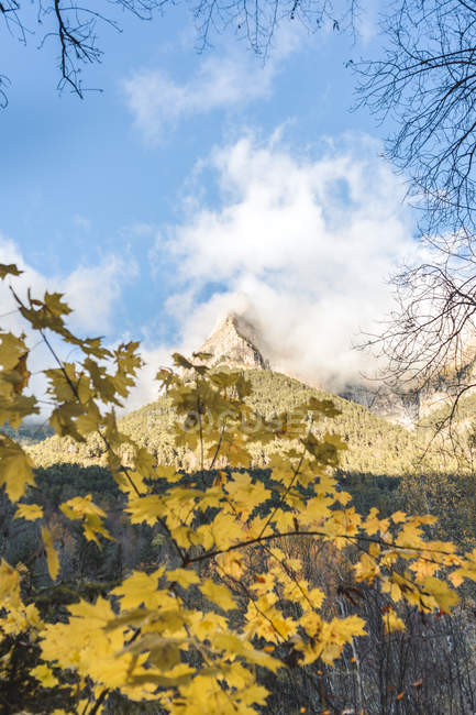 Spain, Ordesa y Monte Perdido National Park, autumn leaves — Stock Photo