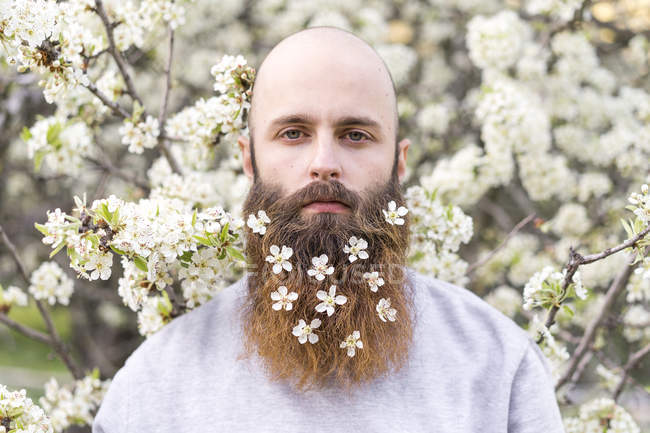 Retrato de hipster con flores de árbol blanco en su barba — amor por la  naturaleza, Diferente - Stock Photo | #268298528