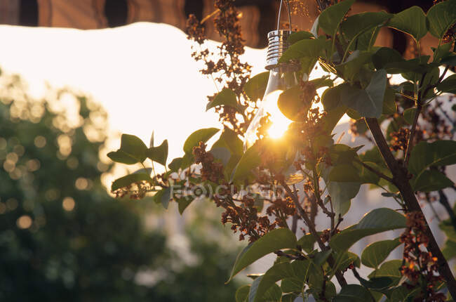 Ombrellone, lampadina a energia solare al tramonto — Foto stock
