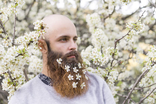 Retrato de hipster con flores de árbol blanco en su barba — italia,  decorativo - Stock Photo | #268307222