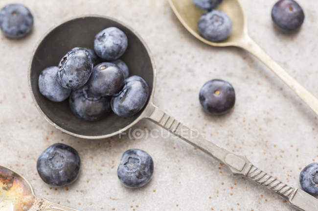 Vecchio cucchiaio con mirtilli — Foto stock