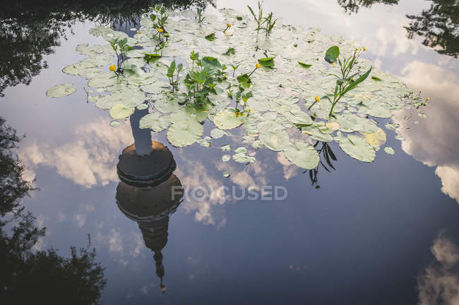 Alemanha, Hamburgo, Planten un Blomen, torre de tv espelhamento na água — Fotografia de Stock