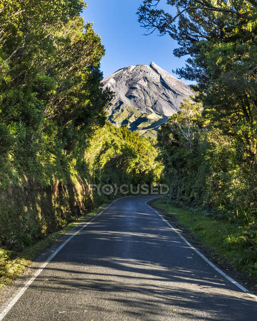 New Zealand, North Island, Egmont National Park, view to Mount Taranaki ...
