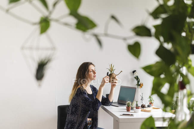 Young woman with laptop at home caring for plants — Stock Photo