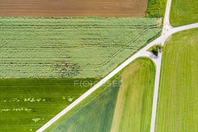Германия, Баден-Вюртемберг, Шурвальд, Вид с воздуха на поля весной — стоковое фото