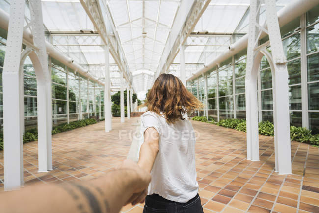 Женщина держит мужчину за руку в оранжерее — стоковое фото