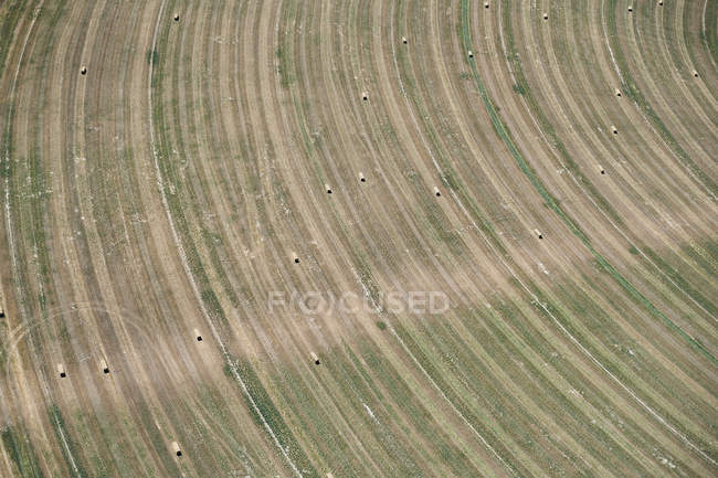 EUA, Fotografia aérea da agricultura de contorno após a colheita no oeste do Nebraska — Fotografia de Stock