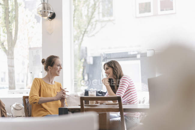 Due amiche che si incontrano in una caffetteria, parlano — Foto stock