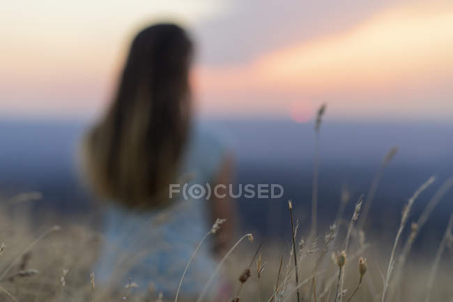 girl in field sunset