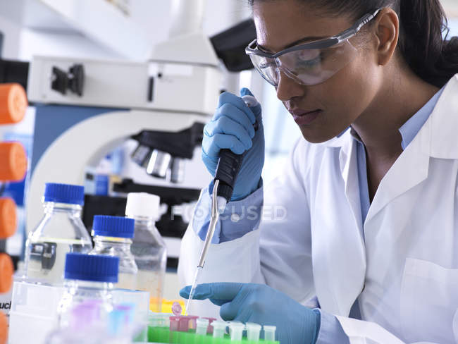 Investigación genética, científico femenino pipeteando ADN o muestra química en un vial de eppendorf, análisis en el laboratorio - foto de stock