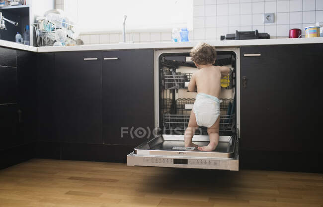 Vista posteriore del bambino che indossa il pannolino esplorando la lavastoviglie in cucina — Foto stock
