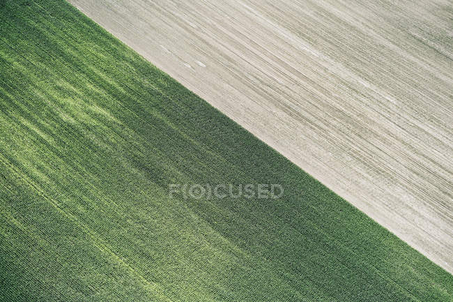 EUA, campo de milho e campo recém-colhido no oeste do Nebraska — Fotografia de Stock