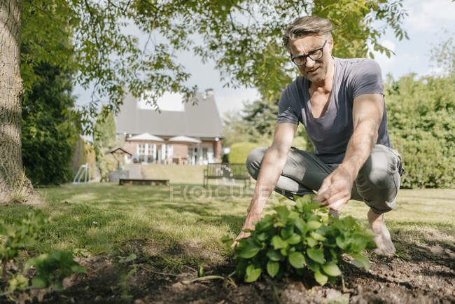 Mature man gardening outdoors house — Stock Photo