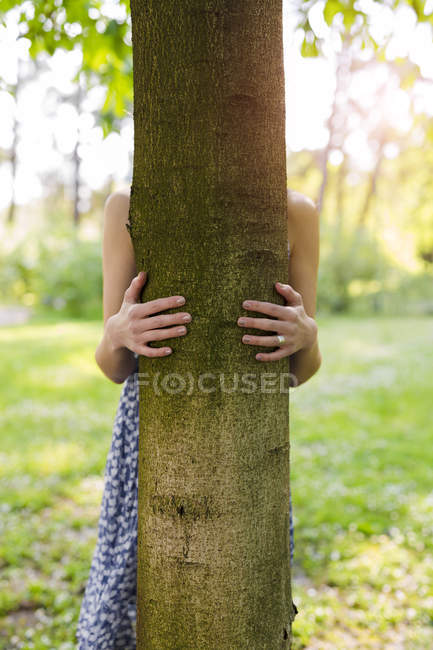 Руки женщины, обнимающей дерево — стоковое фото