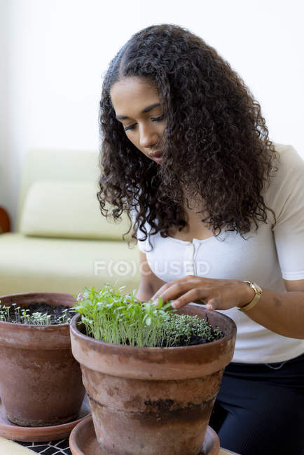 Frau betrachtet Bäumchen, die zu Hause im Pflanztopf wachsen — Stockfoto