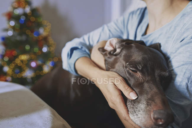 Woman hugging old dog at Christma time — Stock Photo