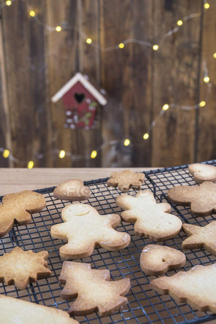 Vari biscotti di pan di zenzero fatti in casa sulla griglia di raffreddamento — Foto stock