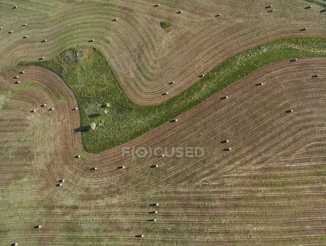 USA, Aerial of contour farming e balle di fieno in Montana — Foto stock