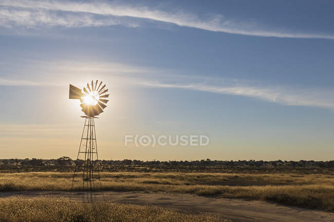 Africa, Botswana, Parco Transfrontaliero delle Kgalagadi, Kalahari, ruota eolica a pozzetto Lanklaas — Foto stock